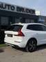Volvo XC60 R Design AWD 360 /Pano/Assistenten Weiß - thumbnail 9