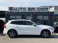 Volvo XC60 R Design AWD 360 /Pano/Assistenten Weiß - thumbnail 8