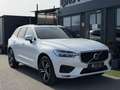 Volvo XC60 R Design AWD 360 /Pano/Assistenten Weiß - thumbnail 10
