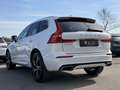 Volvo XC60 R Design AWD 360 /Pano/Assistenten Weiß - thumbnail 5