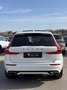 Volvo XC60 R Design AWD 360 /Pano/Assistenten Weiß - thumbnail 7
