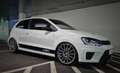 Volkswagen Polo R WRC Polo R WRC 2,0 R WRC Weiß - thumbnail 22