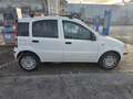 Fiat Panda 1.3 mjt 16v Emotion con 211.000km Neopatentati ok Blanc - thumbnail 7