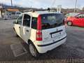 Fiat Panda 1.3 mjt 16v Emotion con 211.000km Neopatentati ok Blanc - thumbnail 6