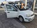 Fiat Panda 1.3 mjt 16v Emotion con 211.000km Neopatentati ok Blanc - thumbnail 9