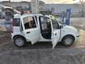 Fiat Panda 1.3 mjt 16v Emotion con 211.000km Neopatentati ok Blanc - thumbnail 10