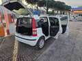 Fiat Panda 1.3 mjt 16v Emotion con 211.000km Neopatentati ok Blanc - thumbnail 11