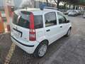 Fiat Panda 1.3 mjt 16v Emotion con 211.000km Neopatentati ok Blanc - thumbnail 5