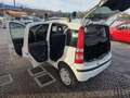 Fiat Panda 1.3 mjt 16v Emotion con 211.000km Neopatentati ok Blanc - thumbnail 13