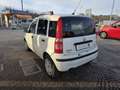 Fiat Panda 1.3 mjt 16v Emotion con 211.000km Neopatentati ok Blanc - thumbnail 4