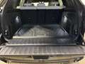 BMW X5 xDrive30d Grün - thumbnail 12