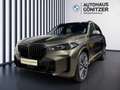 BMW X5 xDrive30d Grün - thumbnail 1