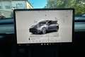 Tesla Model Y Model Y Long Range AWD Argento - thumbnail 12