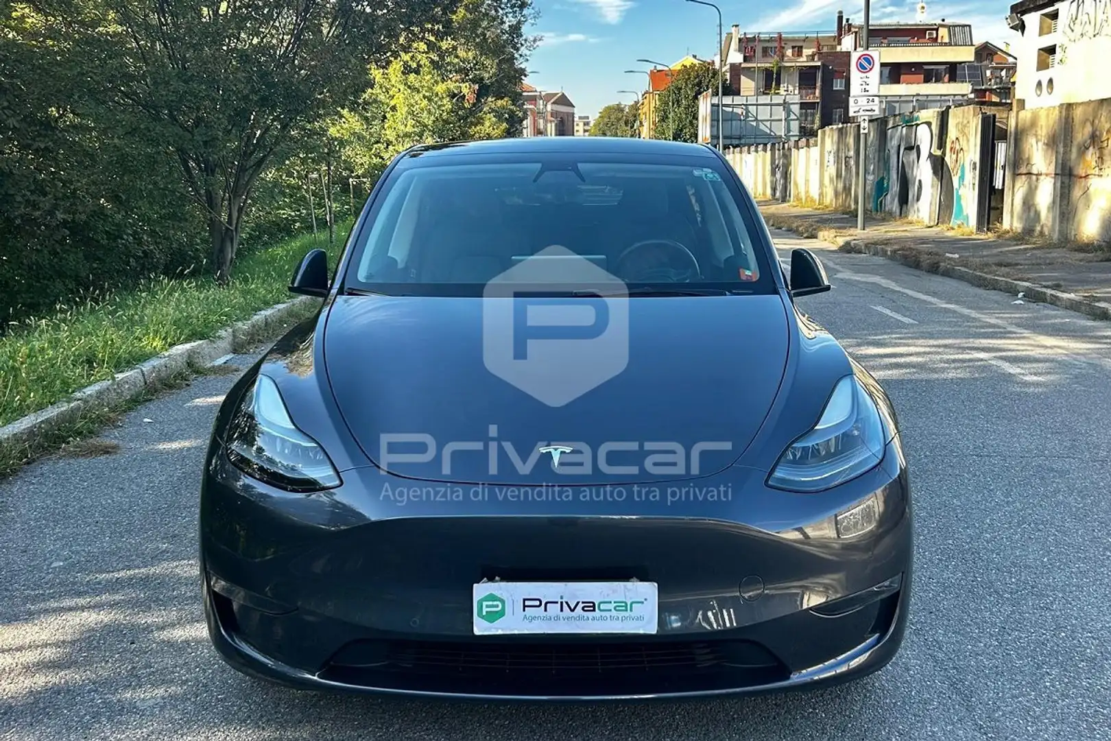 Tesla Model Y Model Y Long Range AWD Argento - 2
