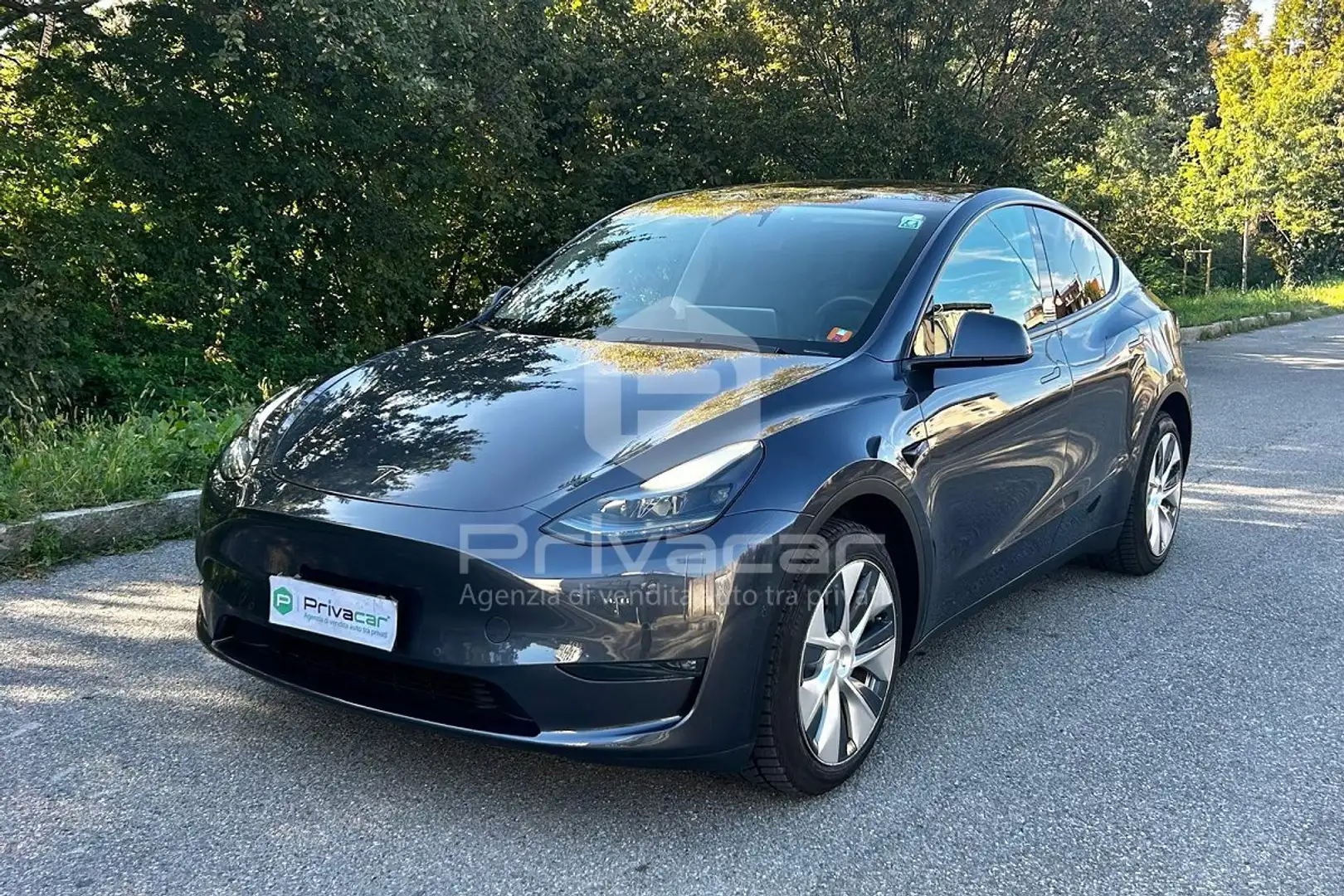 Tesla Model Y Model Y Long Range AWD Argento - 1