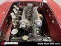 Alfa Romeo Sonstige 412 Spider Vignale, 6 Zylinder SS-Motor - RHD Rot - thumbnail 18