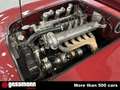 Alfa Romeo Sonstige 412 Spider Vignale, 6 Zylinder SS-Motor - RHD Rot - thumbnail 17