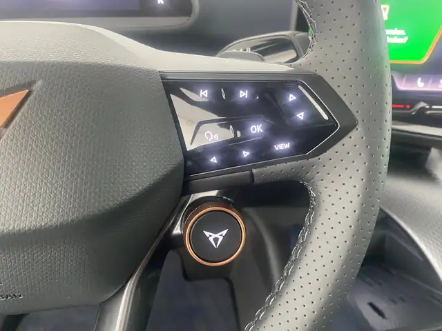 CUPRA Tavascan view 15