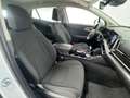 Kia Sportage 1.6 CRDi MHEV DCT Business Bianco - thumbnail 3