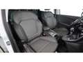 Renault Scenic IV 1.7 BLUE dCi 120 EDC Aut NAVI SITZHZG Weiß - thumbnail 14