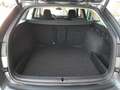 Skoda Octavia Combi STYLE 2,0 TDI DSG *LED MIT FLA & DYN BLINKER / HEAD-UP / VIRTUELL / NAVI / ACC / MEMORY SPORTSITZE / E-KLAPPE* Grau - thumbnail 14