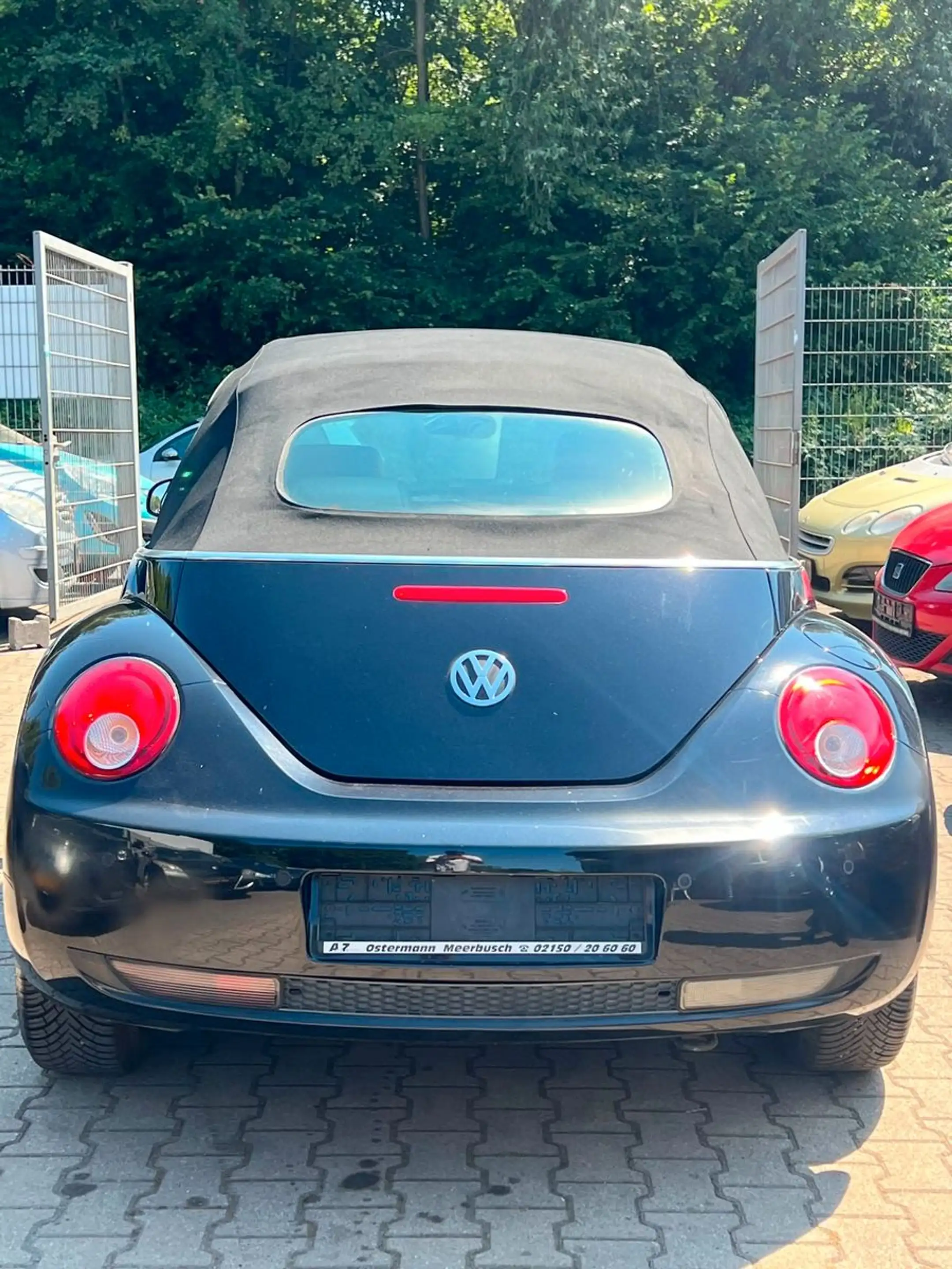 Volkswagen New Beetle Cabriolet 1.4*TOP*NEU TÜV*GEWAHR* — photo 5