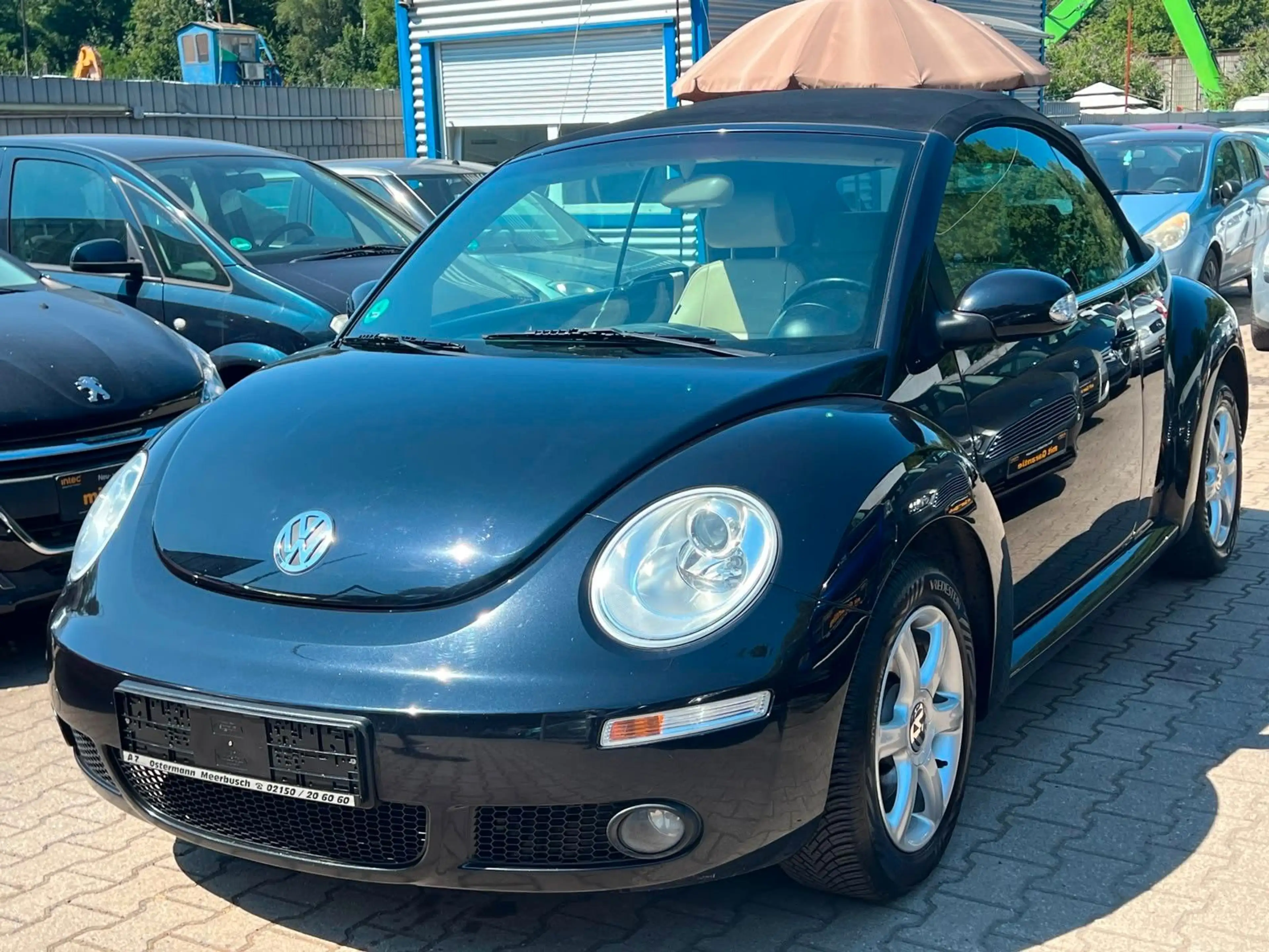 Volkswagen New Beetle Cabriolet 1.4*TOP*NEU TÜV*GEWAHR*