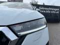 Skoda Octavia Combi 2,0 TDI Style DSG | NP: €47.000 Weiß - thumbnail 36