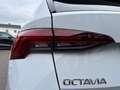 Skoda Octavia Combi 2,0 TDI Style DSG | NP: €47.000 Weiß - thumbnail 39