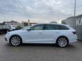Skoda Octavia Combi 2,0 TDI Style DSG | NP: €47.000 Weiß - thumbnail 6