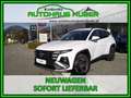 Hyundai TUCSON NX4 Jubile 1,6 T-GDi HEV 4WD AT t6hj2 Weiß - thumbnail 1
