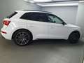 Audi Q5 40TDI qu. S tronic S line/AHK/Pano/Luft/ACC LED Wit - thumbnail 4