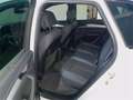 Audi Q5 40TDI qu. S tronic S line/AHK/Pano/Luft/ACC LED Wit - thumbnail 10