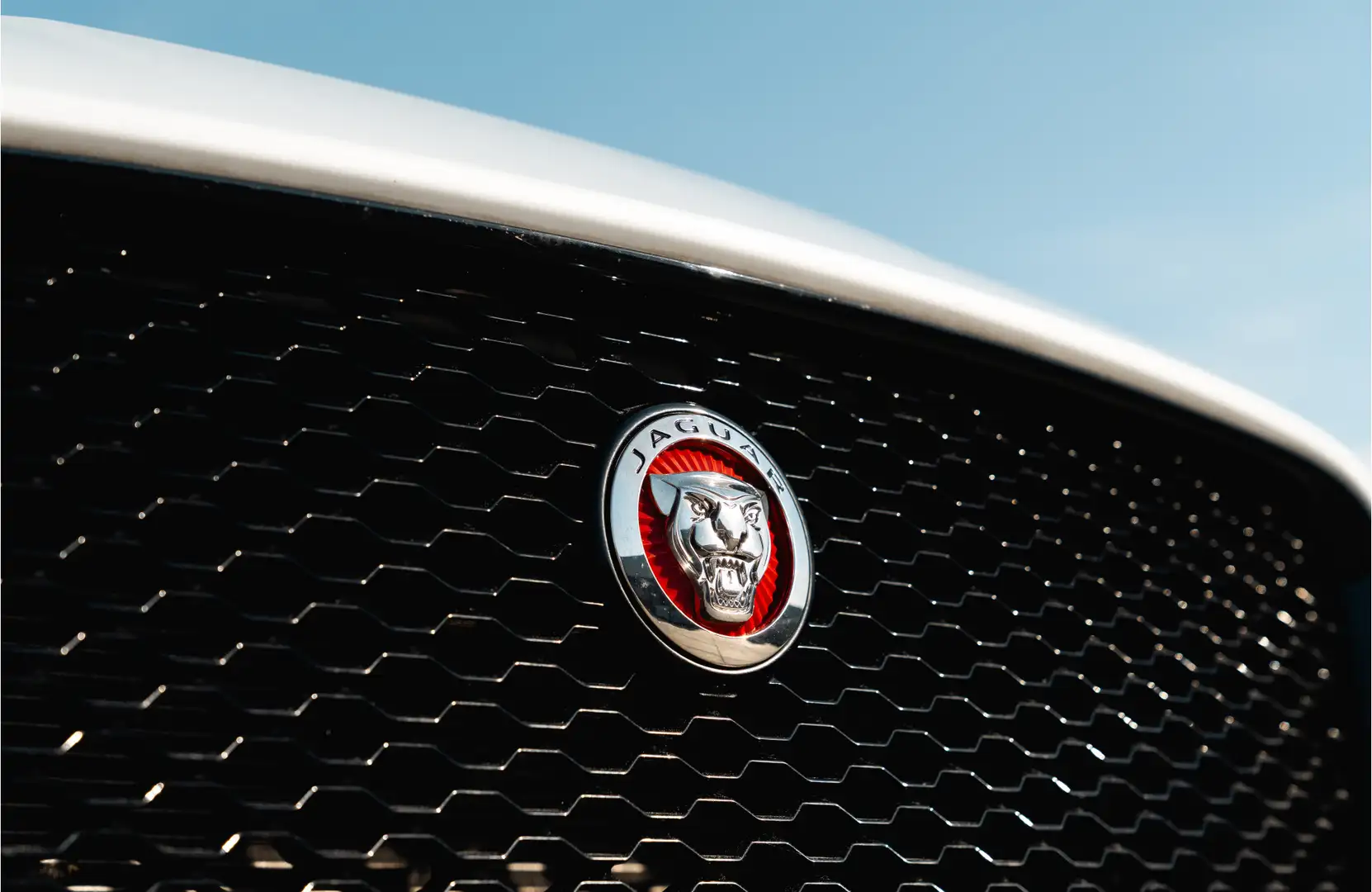 Jaguar F-Pace 3.0 S/C SUPERCHARGED AWD 35t *340PK* 1e Eigenaar / Wit - 2