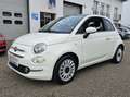 Fiat 500 1.0 GSE Hybrid DolceVita,Panodak,Carplay,Nieuwsta. Blanc - thumbnail 1