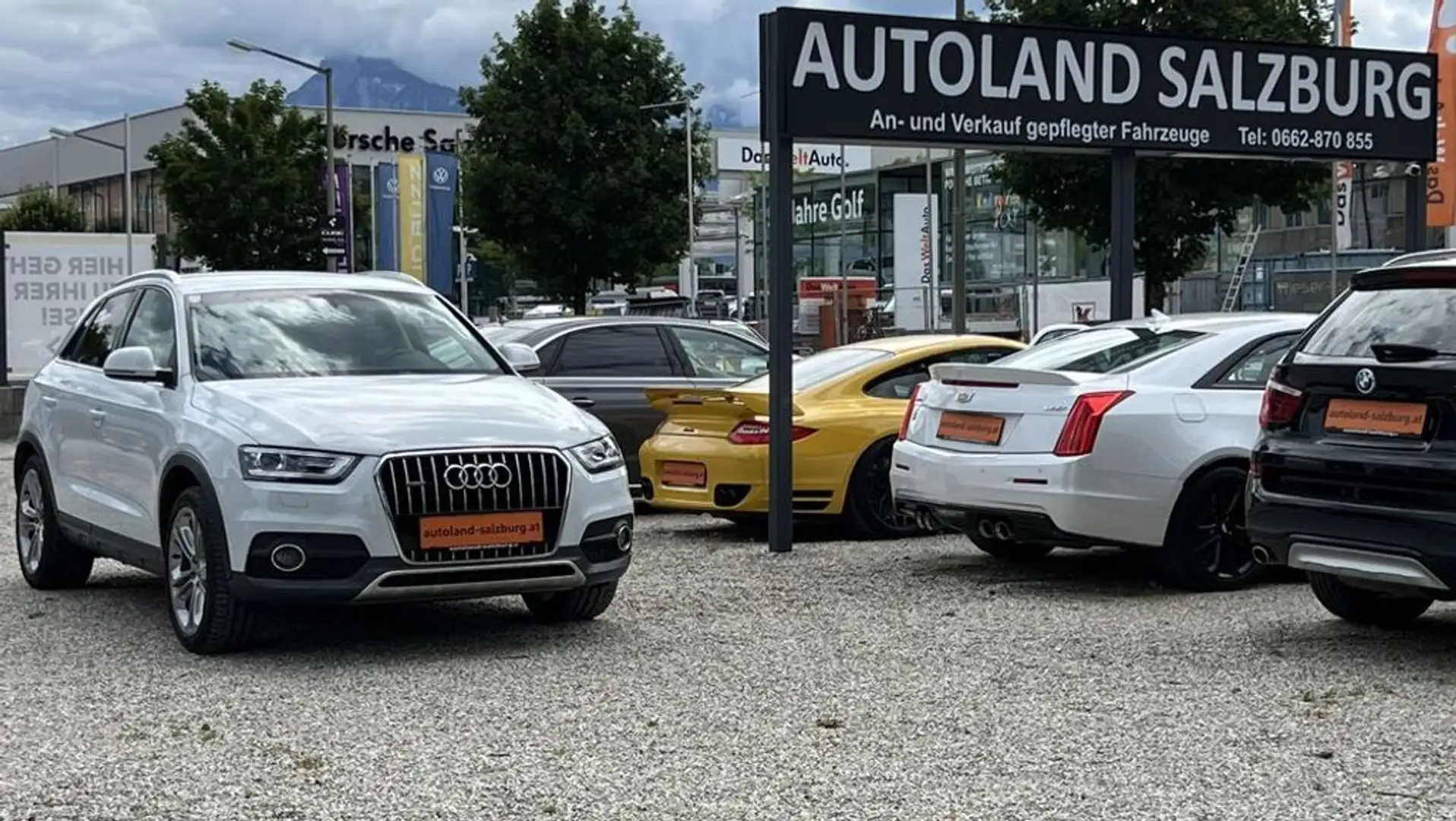 Audi Q3 2.0 TDI quattro 19'' Alu Allrad LED PDC Temp. Weiß - 2
