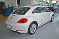Volkswagen Beetle 1.6TDI Design 105 Blanco - thumbnail 3