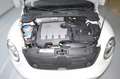 Volkswagen Beetle 1.6TDI Design 105 Blanco - thumbnail 10