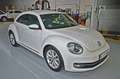 Volkswagen Beetle 1.6TDI Design 105 Blanco - thumbnail 4