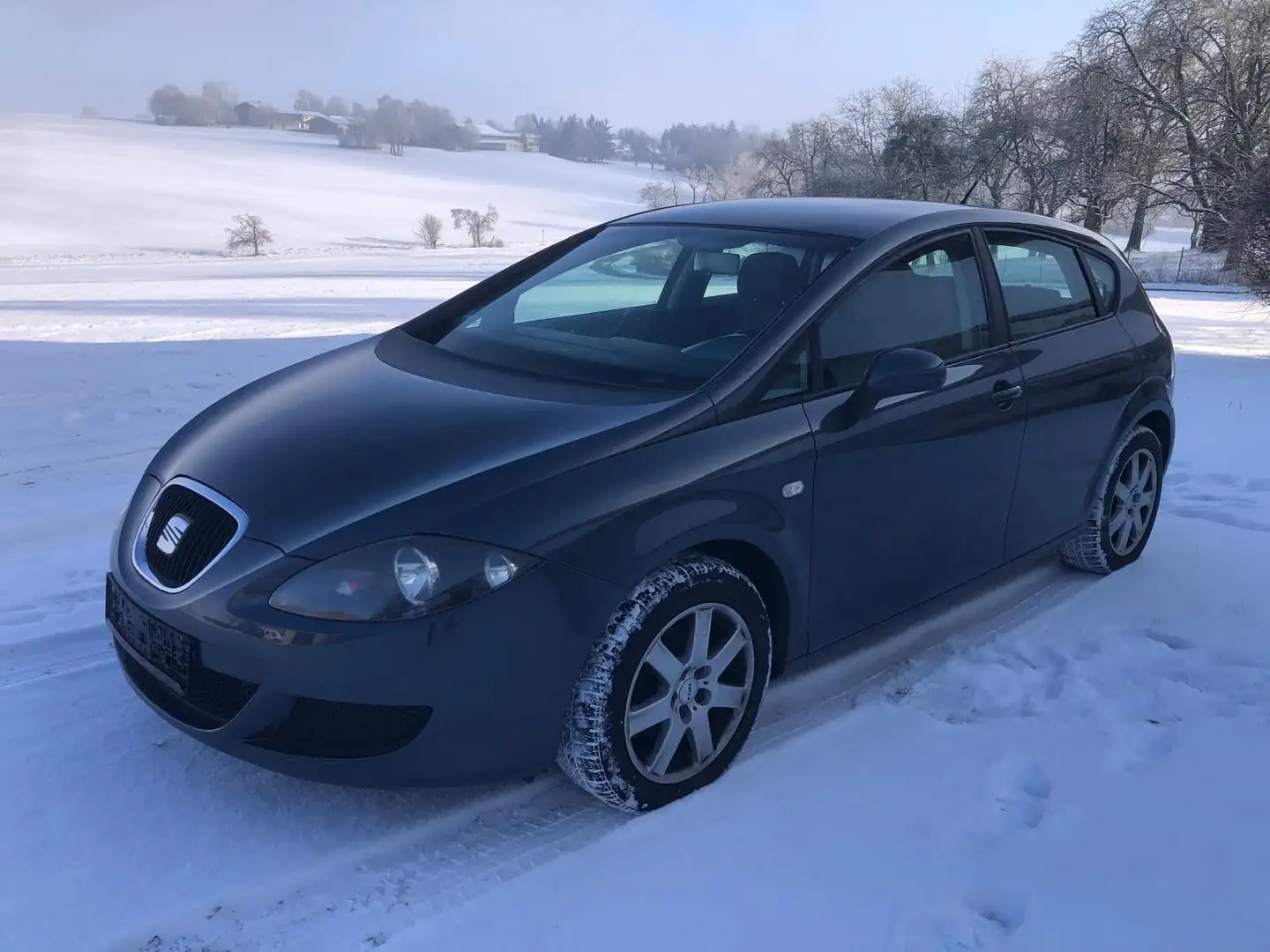 SEAT Leon Reference Grau - 1