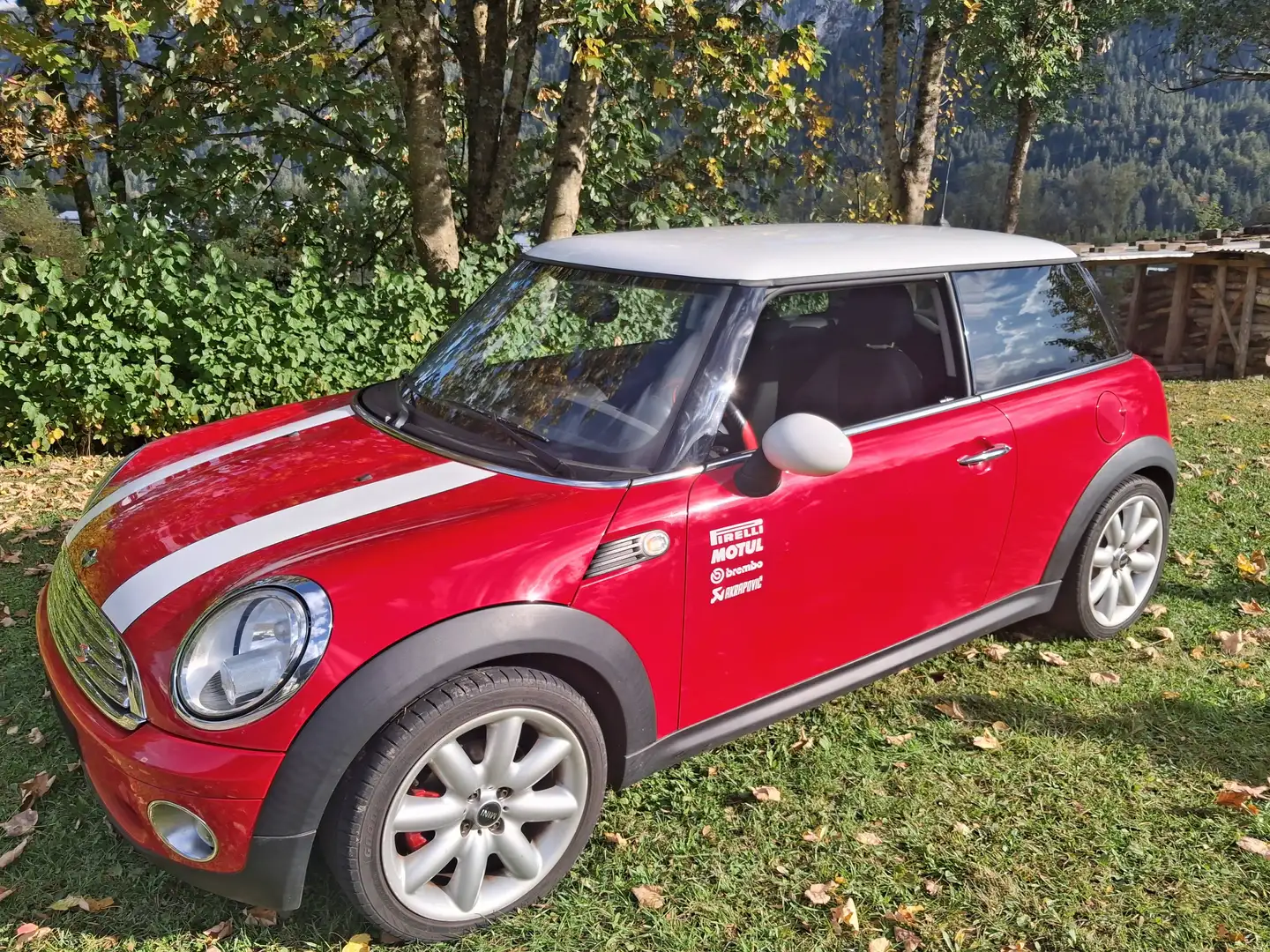 MINI Cooper MINI COOPER Austrian Pepper Austrian Pepper Rot - 2
