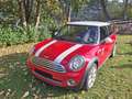 MINI Cooper MINI COOPER Austrian Pepper Austrian Pepper Rot - thumbnail 1