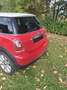 MINI Cooper MINI COOPER Austrian Pepper Austrian Pepper Rot - thumbnail 6