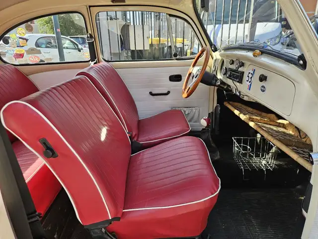Volkswagen Maggiolino view 11