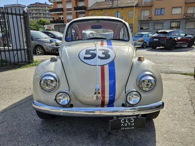 Volkswagen Maggiolino view 2