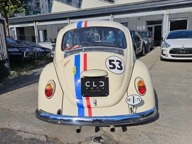 Volkswagen Maggiolino view 5