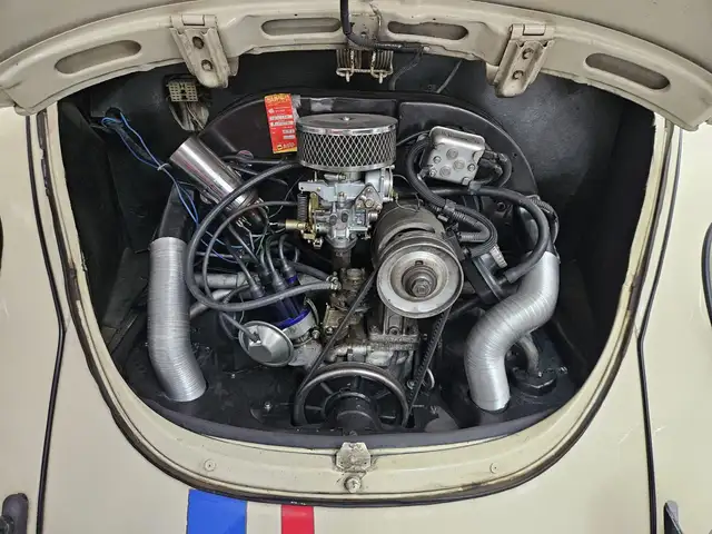 Volkswagen Maggiolino view 14