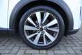Ford Puma 1.0 Hybrid Titanium X 1e Eigenaar | NL-Auto | Voll Weiß - thumbnail 12