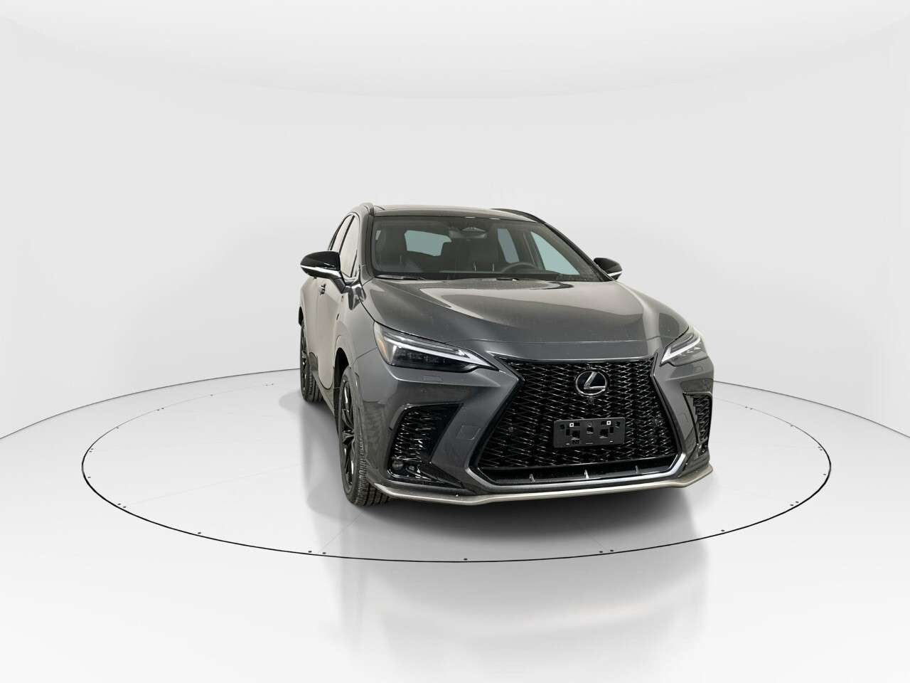 2026 Lexus NX NX 350 — photo 1