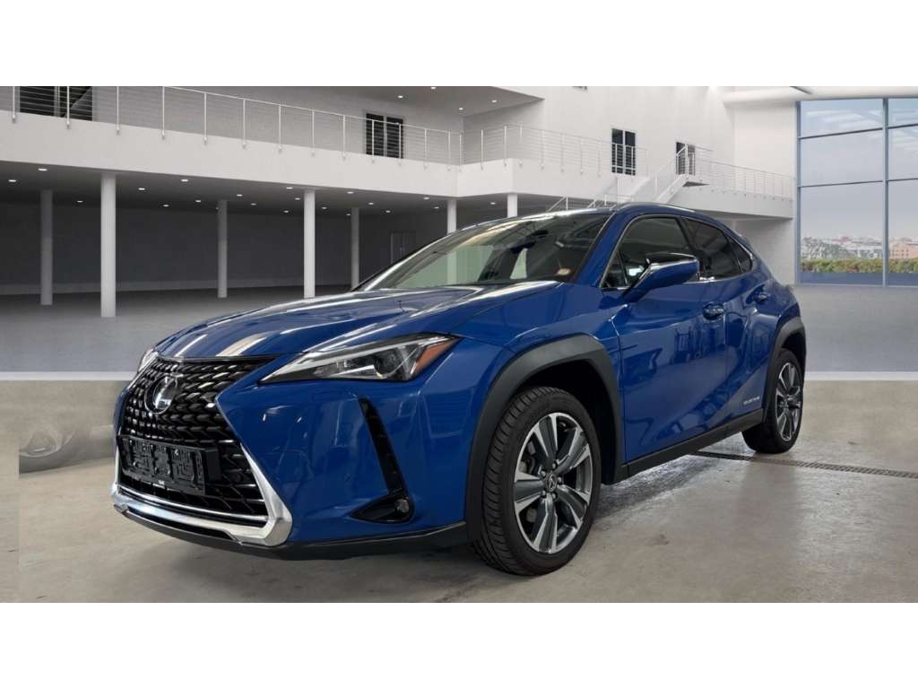 Lexus UX 300e occasion